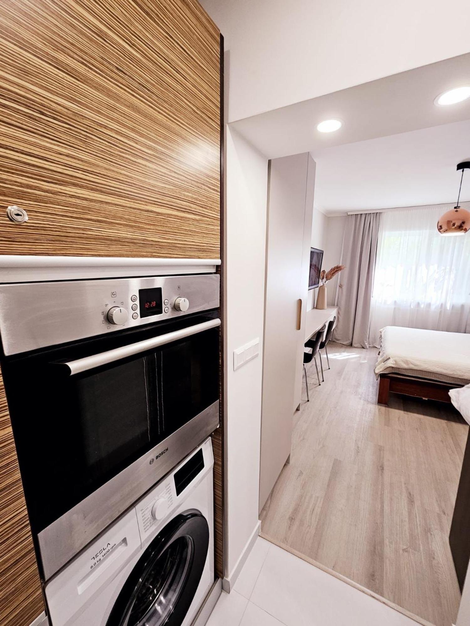 Monique'S Apartment 3 Тимишоара Экстерьер фото